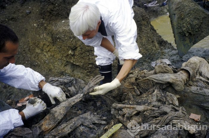 Srebrenitsa'da neler olmuştu?