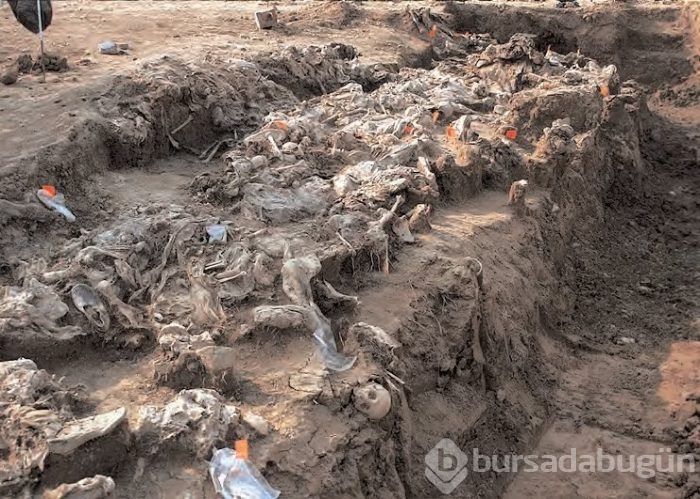 Srebrenitsa'da neler olmuştu?