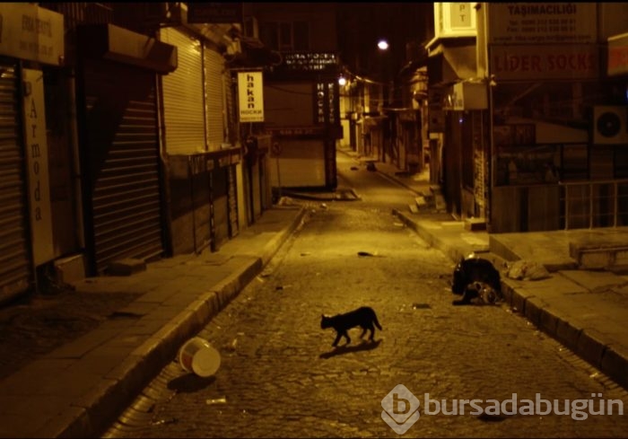Hatıraların Masumiyeti
