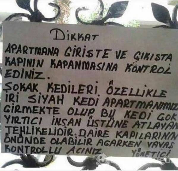 İnstagram'da ünlüler - 25 Mart 2016	
