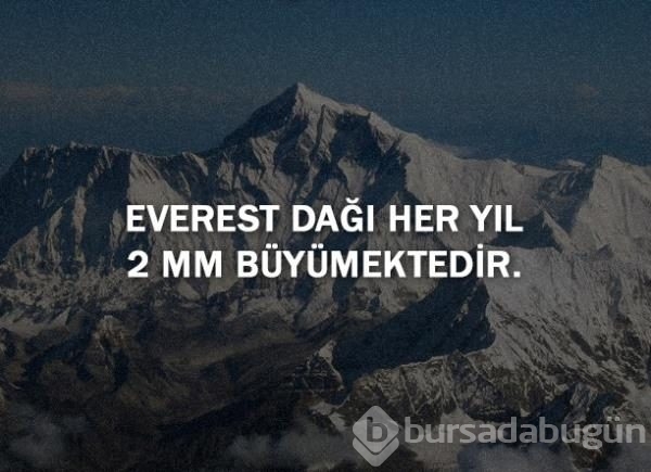 Bunları biliyor musunuz?
