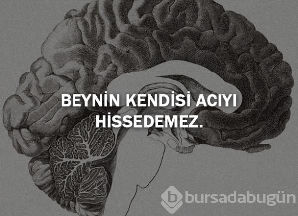 Bunları biliyor musunuz?
