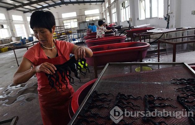 Postiş alacaklar dikkat! Önce bunlara bakın