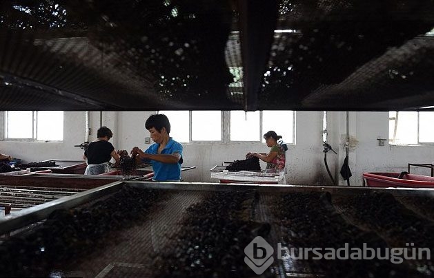 Postiş alacaklar dikkat! Önce bunlara bakın