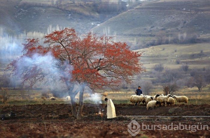 'Aylan Bebek' yılın fotoğrafı 