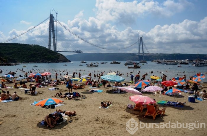 'Aylan Bebek' yılın fotoğrafı 