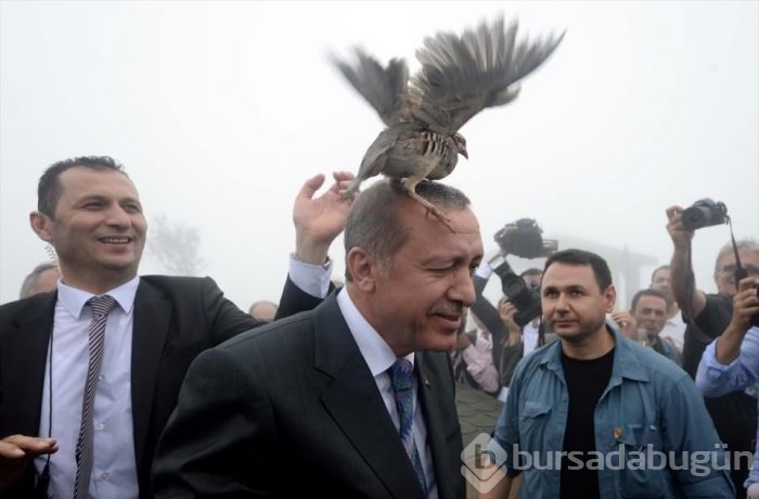 'Aylan Bebek' yılın fotoğrafı 