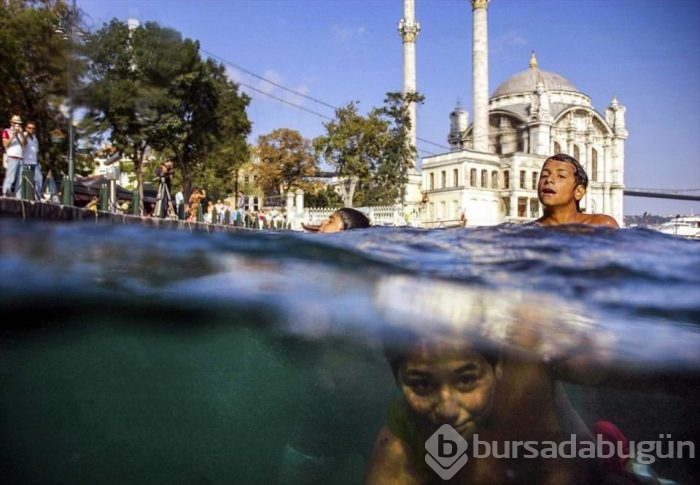 'Aylan Bebek' yılın fotoğrafı 