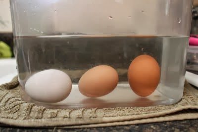 Mutfakta size yardımcı olacak pratik bilgiler..