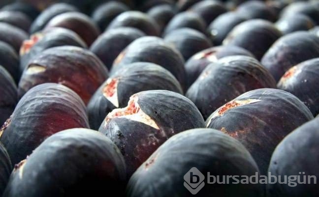İncirin fazla tüketilmesi ölüme neden olabilir