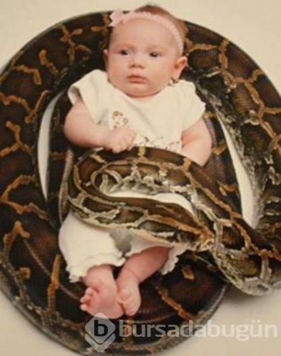 Aile fotoğrafını abarttılar