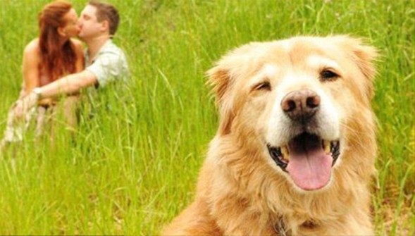 Aile fotoğrafını abarttılar