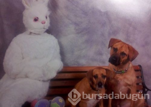 Aile fotoğrafını abarttılar