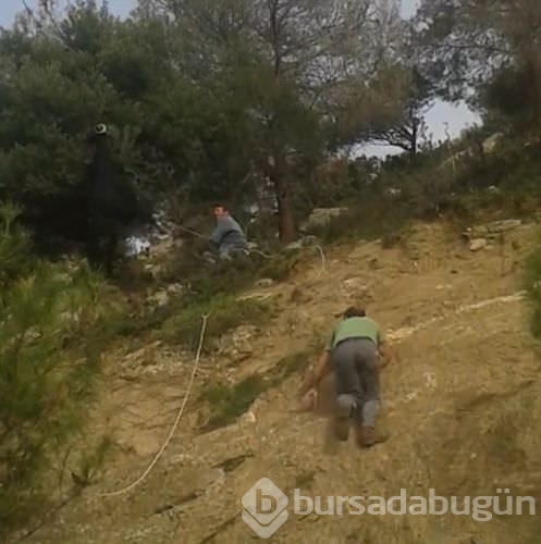 İnatçı keçi tellere takıldı