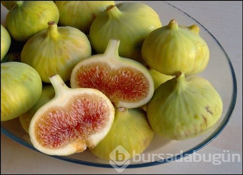 Canan Karatay 'İncirin fazla tüketilmesi ölüme neden olabilir'