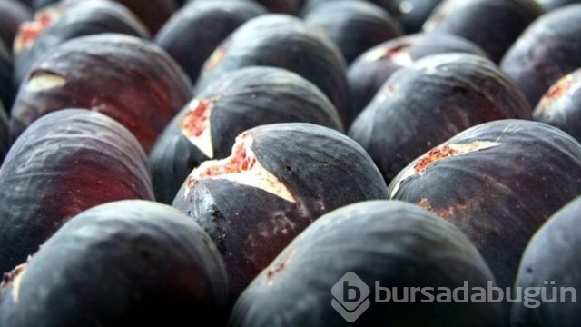 Canan Karatay 'İncirin fazla tüketilmesi ölüme neden olabilir'