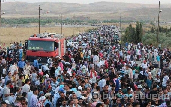 Zenginler Suriyelilerin sadece 1.4'ünü kabul etti.