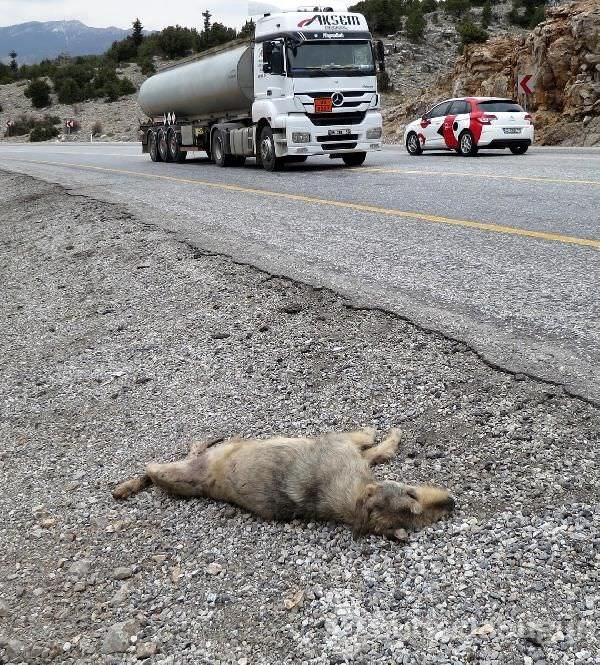 Açlıktan ve soğuktan ölüyorlar	