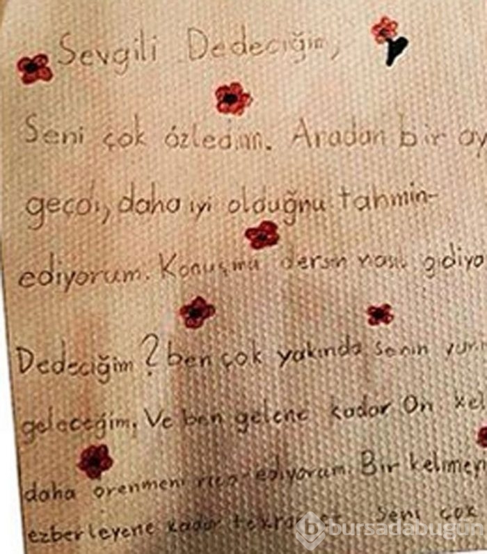 Halit Akçatepe'den haber var