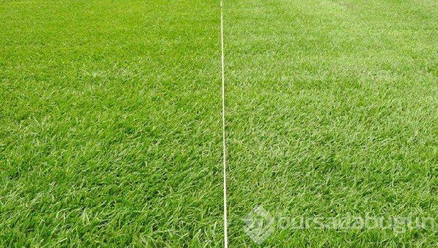 Vodafone Arena'da rekor için Guinnes çağrıldı 