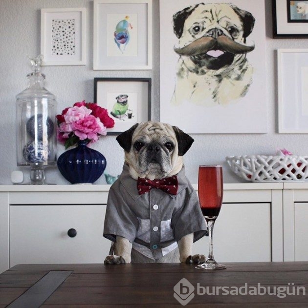 &#8203;Instagram'ın en şık barmeniyle tanışın
