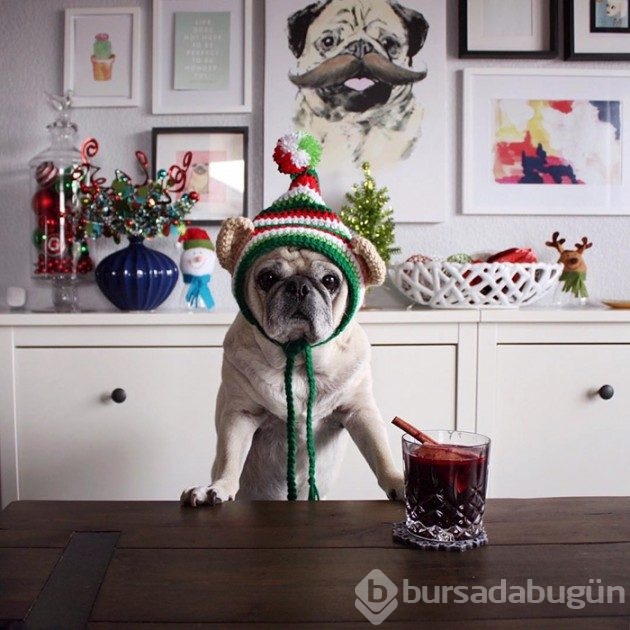&#8203;Instagram'ın en şık barmeniyle tanışın
