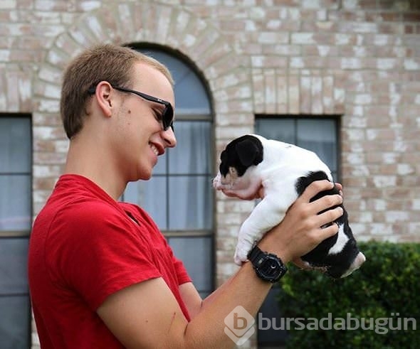 Minik köpeğin yürek burkan hikayesi