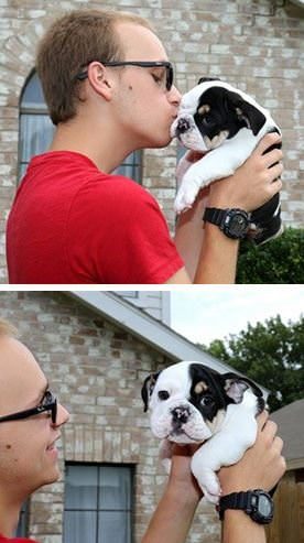 Minik köpeğin yürek burkan hikayesi