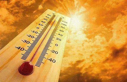 Bilmediğiniz en ilginç 50 gerçek