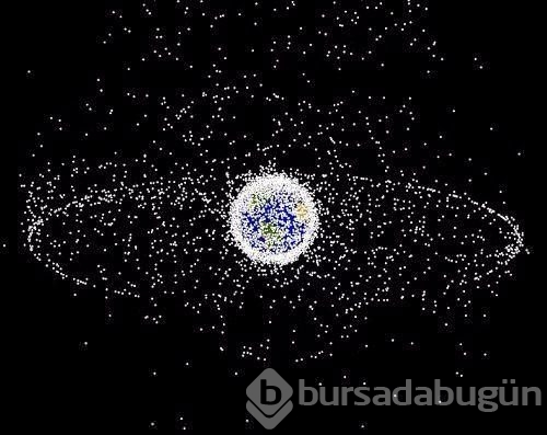 Bilmediğiniz en ilginç 50 gerçek