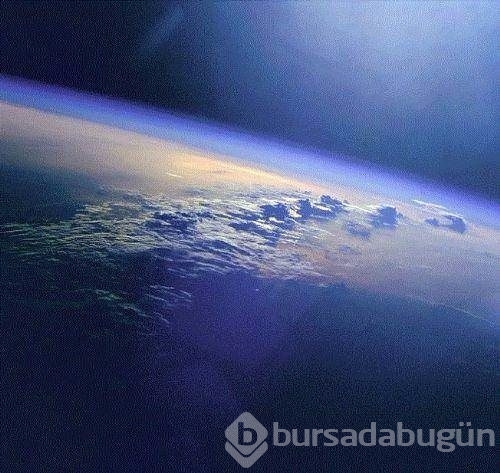 Bilmediğiniz en ilginç 50 gerçek