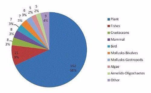 Bilmediğiniz en ilginç 50 gerçek