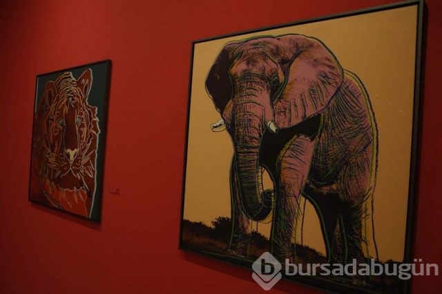 'Herkes için Pop Sanat' sergisi