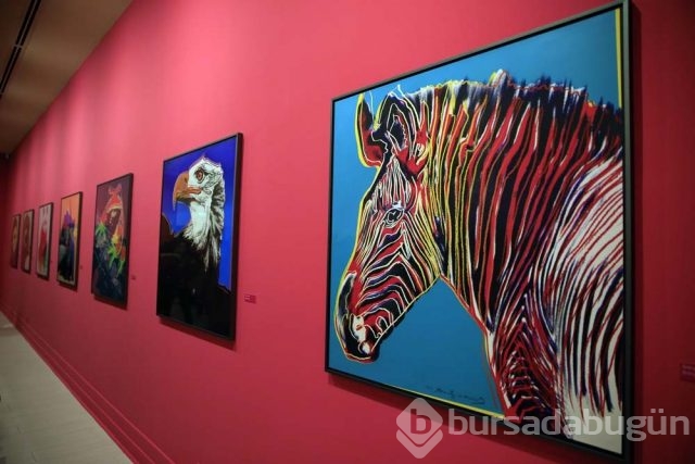 'Herkes için Pop Sanat' sergisi
