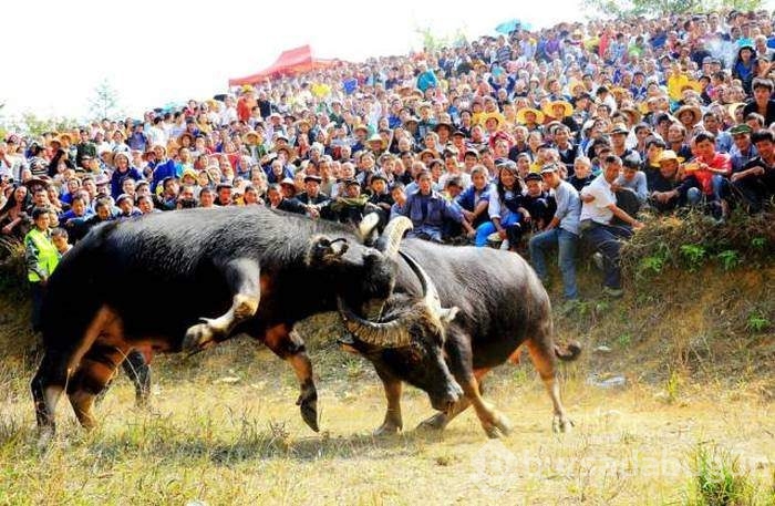 Sadece Çin'de görebileceğiniz kareler