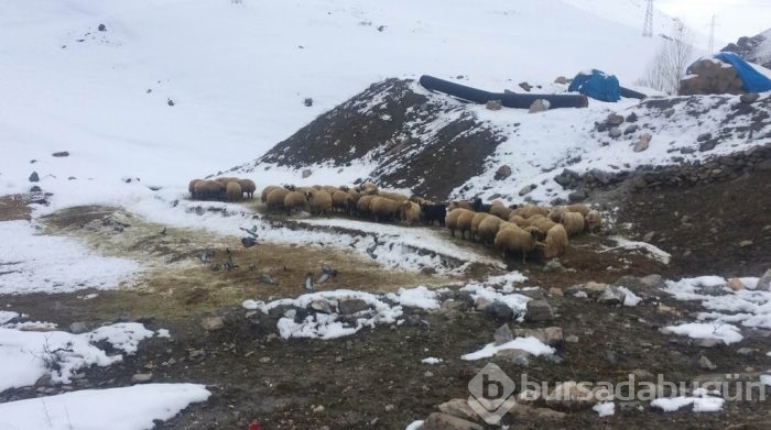 Doğu'da kar, Antalya'da deniz,kum,güneş