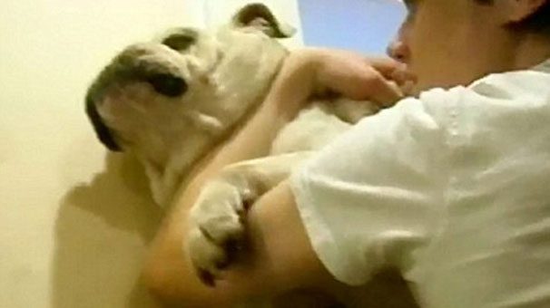 Köpeğe iğrenç işkence