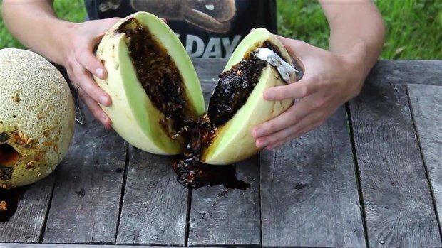 Kavunun içine alüminyum döktü