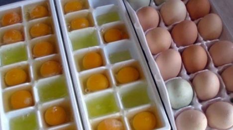 Yumurtaları buz kalıbında dondurun!
