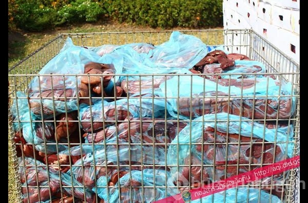 Sahte gıda operasyonu: Maymun eti, tırtıl, çekirge ele geçirildi