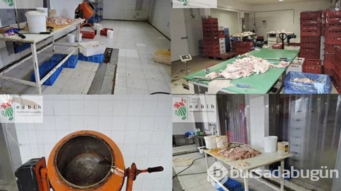 Sahte gıda operasyonu: Maymun eti, tırtıl, çekirge ele geçirildi
