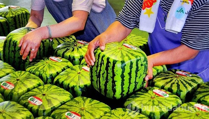 Dünyanın nadir bulunan en pahalı 10 meyvesi