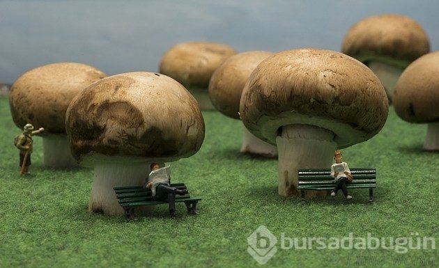 &#8203;20 fotoğrafla minyatür insanların dünyası
