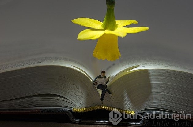 &#8203;20 fotoğrafla minyatür insanların dünyası
