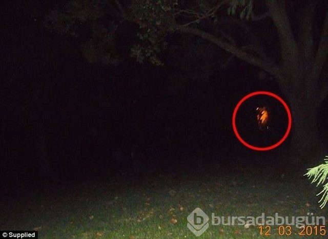 Bu selfie ürpertiyor!