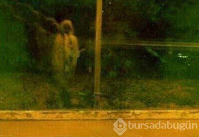 Bu selfie ürpertiyor!
