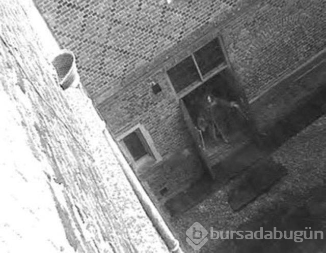 Bu selfie ürpertiyor!