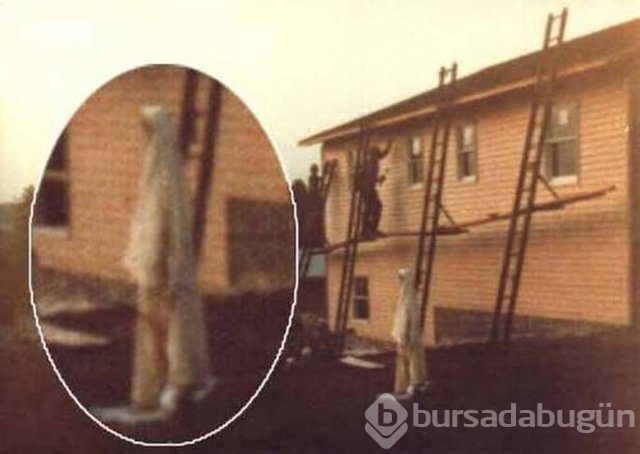 Bu selfie ürpertiyor!