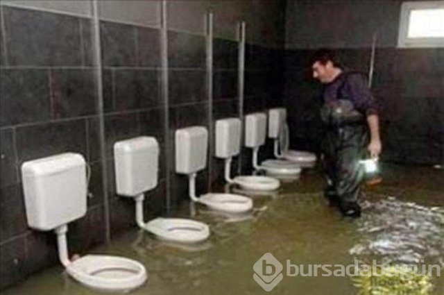 Dünyanın en tuhaf meslekleri