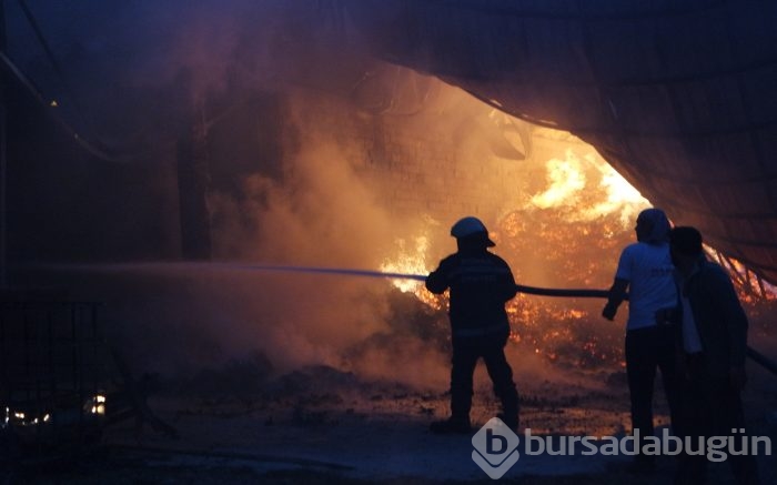 Bursa'da büyük yangın!